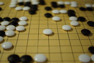 九游娱乐平台-世界围棋赛青年选手战术成熟引热议，2020世界围棋